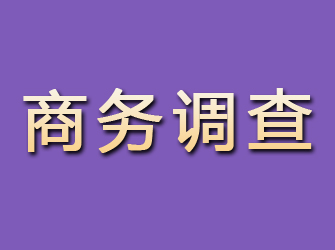 庆安商务调查